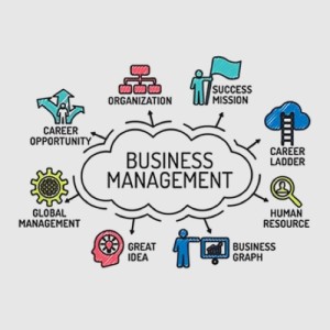 Comprehensive Business Management Solutions: Streamline Operations and Drive Success Comprehensive Business Management Solutions: Streamline Operations and Drive Success